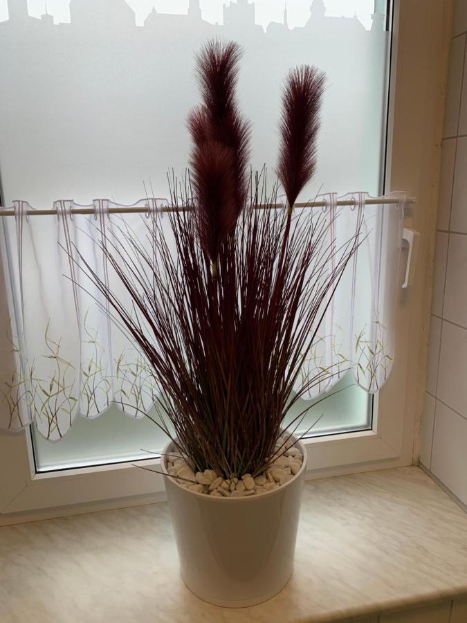 Best-Preis Fewo Rathausblick 2 - Zentrale Lage In Wittenberge - 2 Personen - Einzelzimmer - Vollausstattung - Wlan / Prime & Self-Check-In ภายนอก รูปภาพ